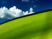 Eco2