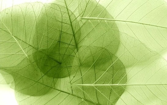 Ecodesign